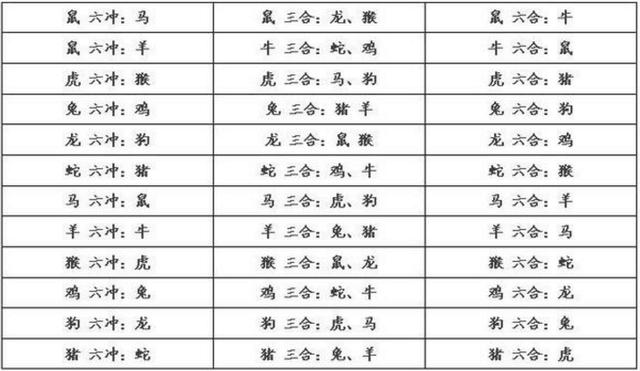 猪虎六合在地支是什么生肖|实用释义解释落实