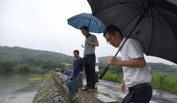 风雨同路，荆南杞梓 打一生肖|全面贯彻解释落实