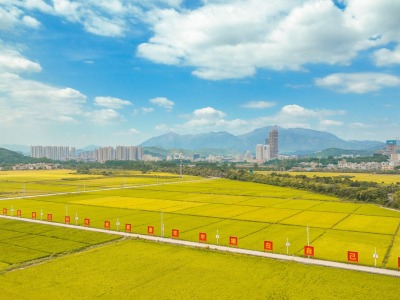 广东省乡村振兴的背景